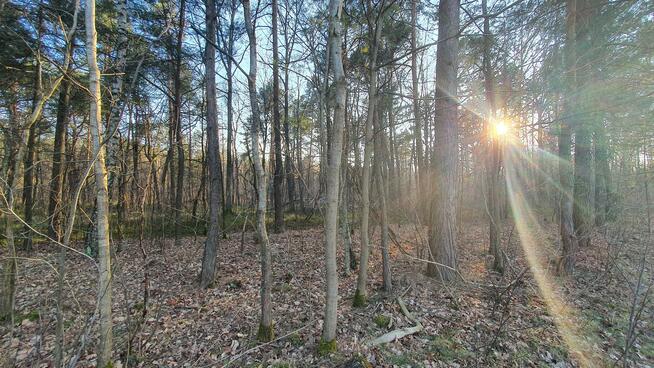 Działka budowlana Duchnów gm. Wiązowna