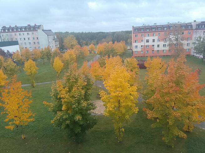 Przestronne 3 pokoje (72,6 m²) | Bełchatów – Os. Bińków