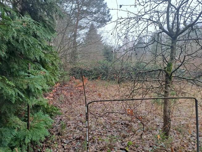 Urocza działka w Zofiówce, niedaleko Łodzi