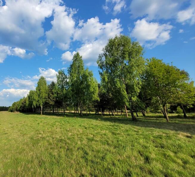 Działka budowlana Konary ul. Brzozowa 1500m2 pod Sochaczewem