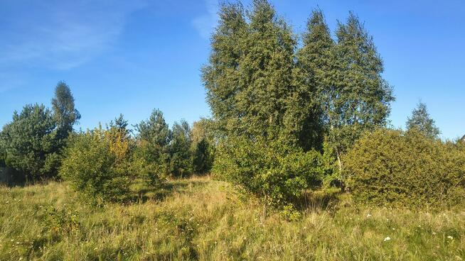 Działka budowlana, Wronowice gm. Łask