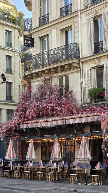 Oferuję dowóz dokumentów Paryż - Wrocław - Warszawa