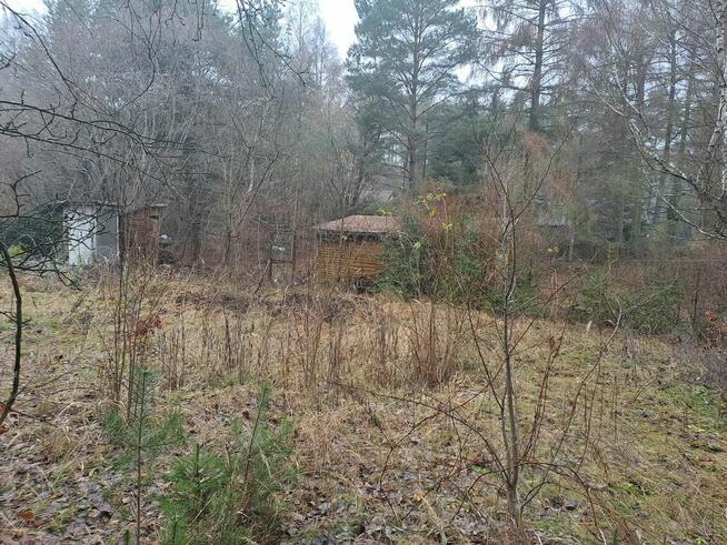 Urocza działka w Zofiówce, niedaleko Łodzi