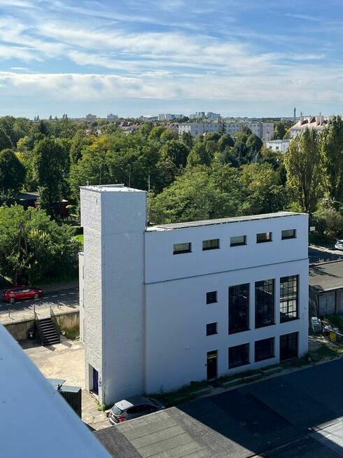 Wirtualne Biuro Poznań Jeżyce / Ogrody / Dąbrowskiego