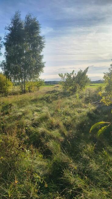 Działka budowlana, Wronowice gm. Łask