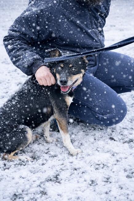 niewidomy Jureczek szuka domku
