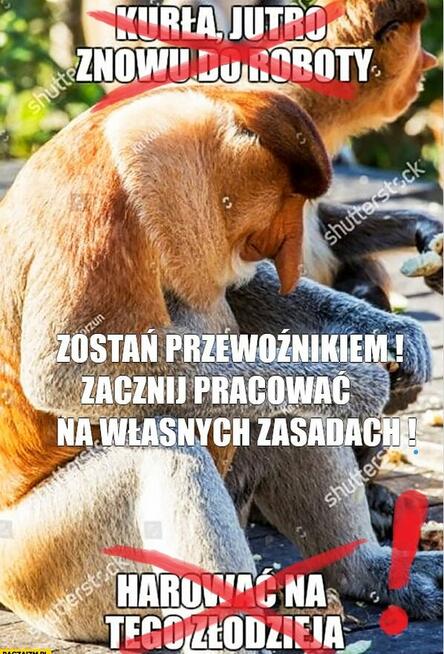 12.000 zł/m-c - 600 zł dniówka - Kat C codziennie w domu