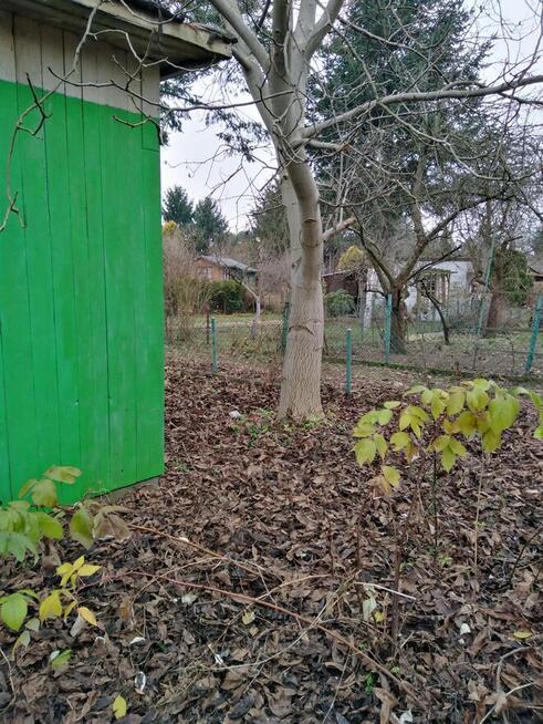 Sprzedam działkę ROD na Bemowie