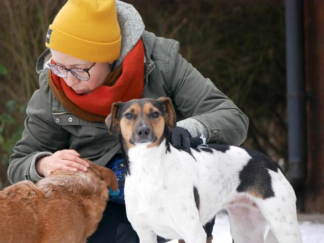 Ninka szuka aktywnego domu