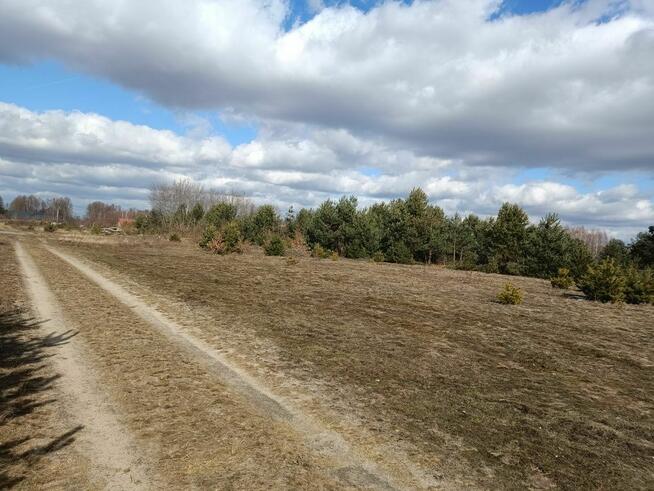 Działka budowlana Chinów