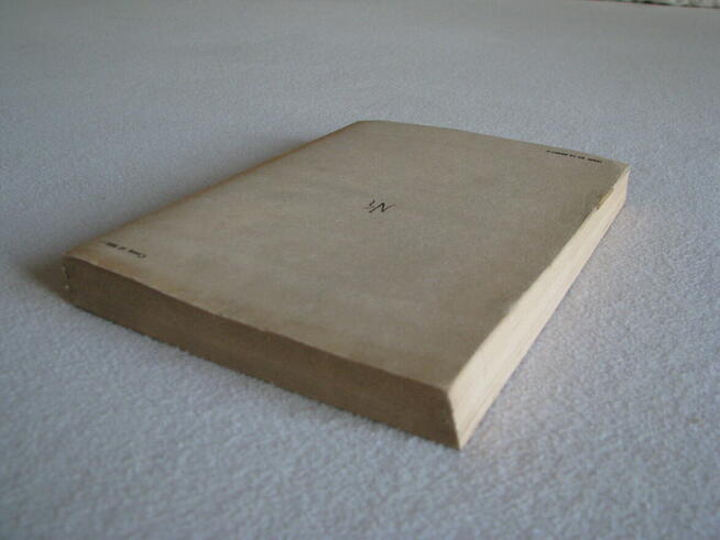 Panienka z okienka, Deotyma (Jadwiga Łuszczewska)