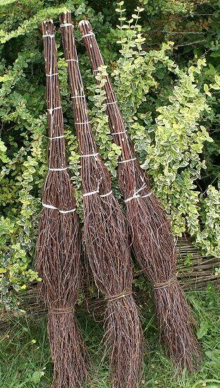 Miotła brzozowa Miotły brzozowe Drapaki