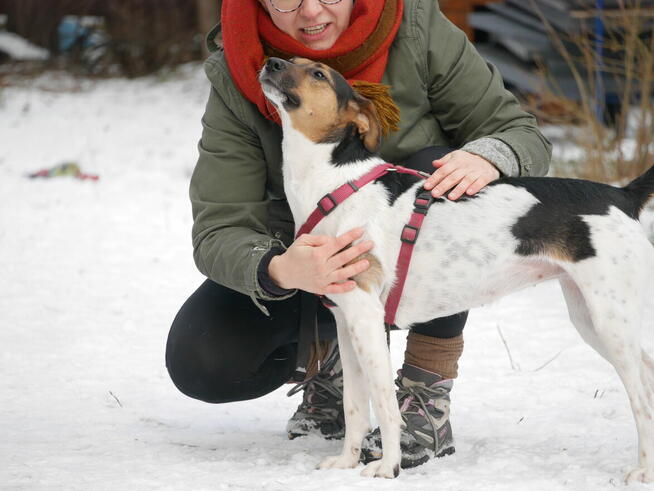 Ninka szuka aktywnego domu