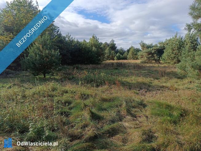 sprzedam działkę Mącice