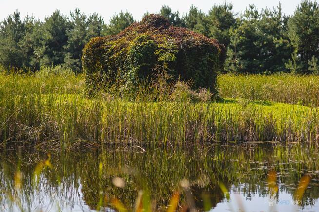 Dom Czerwony Dwór gm. Węgorzewo