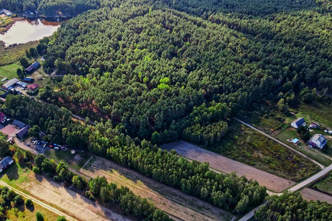 ✅ Sprawdź >>> Działka rekreacyjna (las) - 1602m2 ✅