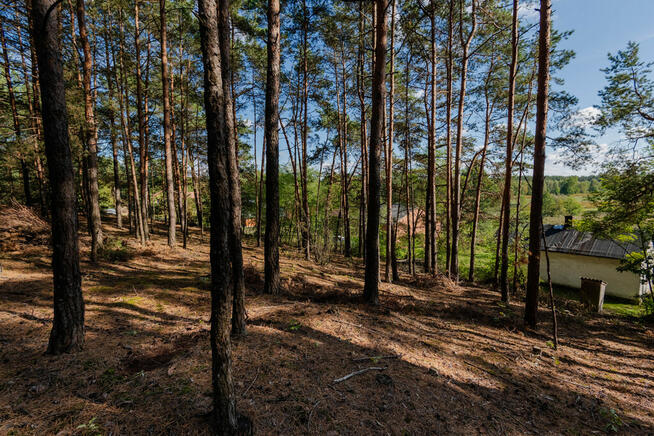 ✅ Sprawdź >>> Działka rekreacyjna (las) - 1602m2 ✅