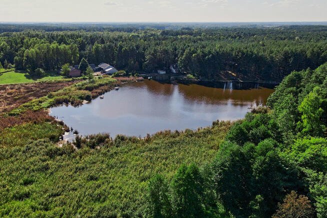 ✅ Sprawdź >>> Działka rekreacyjna (las) - 1602m2 ✅