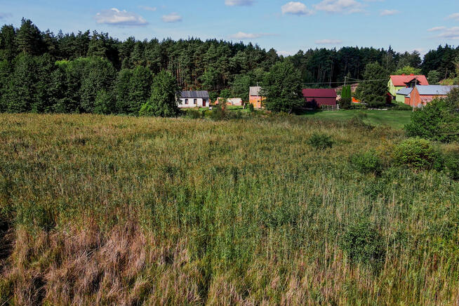 ✅ Sprawdź >>> Działka rekreacyjna (las) - 1602m2 ✅