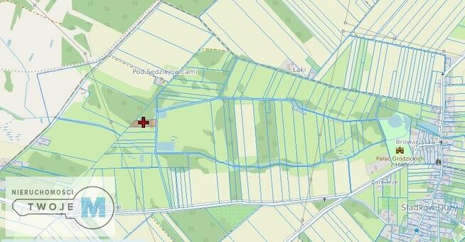 Działka rolna Śladków Duży Śladków Duży