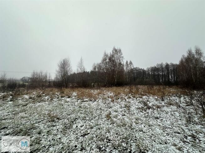 Działka rolna Śladków Duży Śladków Duży