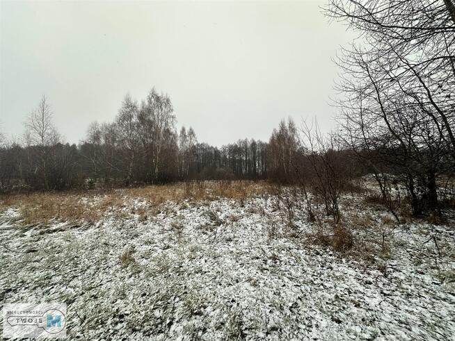 Działka rolna Śladków Duży Śladków Duży