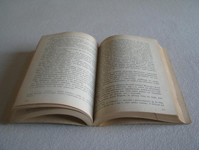 Panienka z okienka, Deotyma (Jadwiga Łuszczewska)