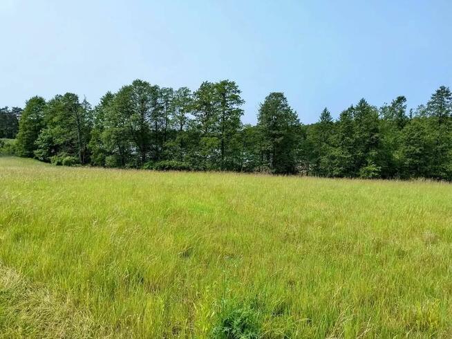 Działka z linią brzegową jeziora Wygryny w Wygrynach