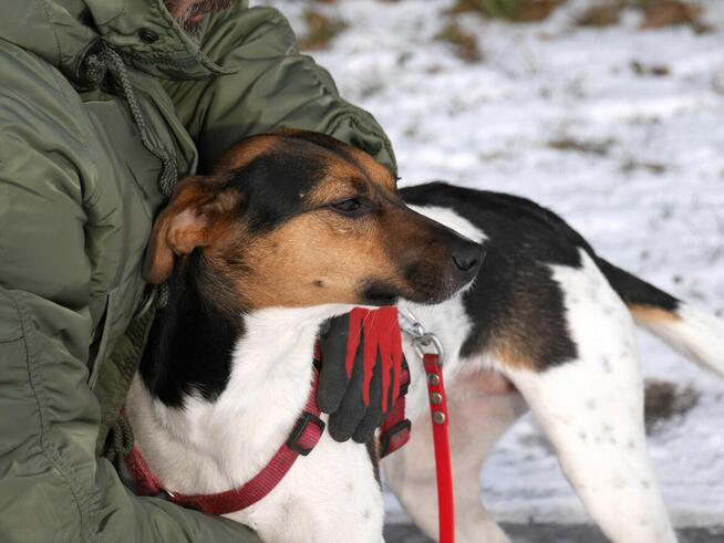 Ninka szuka aktywnego domu