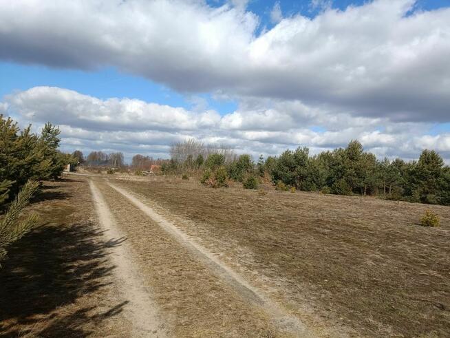 Działka budowlana Chinów