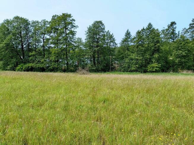 Działka z linią brzegową jeziora Wygryny w Wygrynach