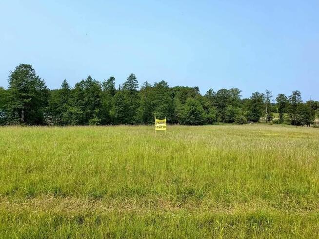 Działka z linią brzegową jeziora Wygryny w Wygrynach