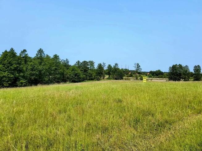 Działka z linią brzegową jeziora Wygryny w Wygrynach