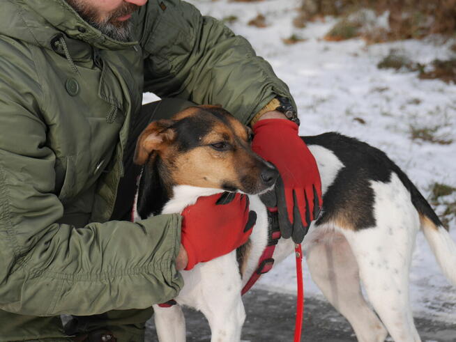 Ninka szuka aktywnego domu