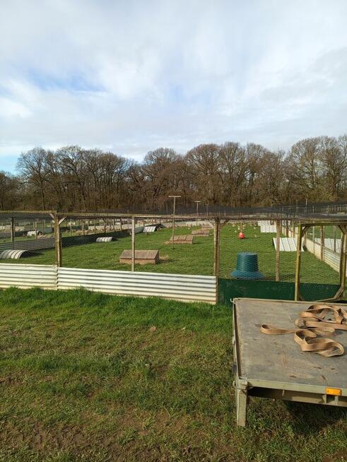 Praca w Anglii ze statusem