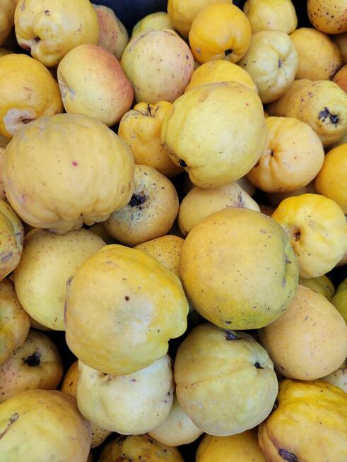 Sok tłoczony ze świeżych owoców pigwowca NFC