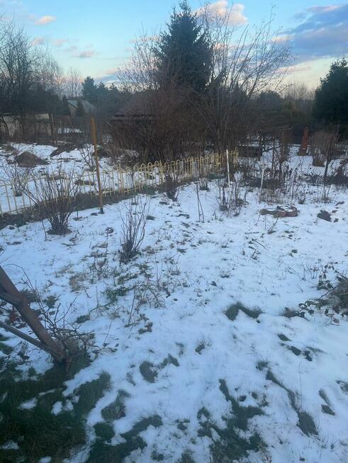 Działka ROD Geodeta