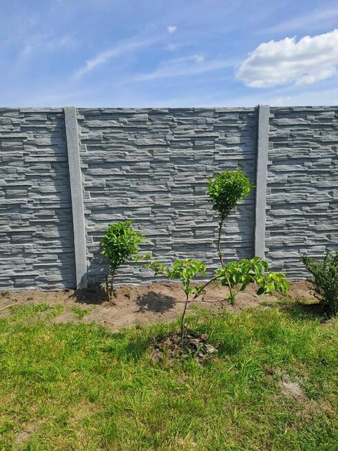 Nowoczesne ogrodzenia betonowe Strzelin