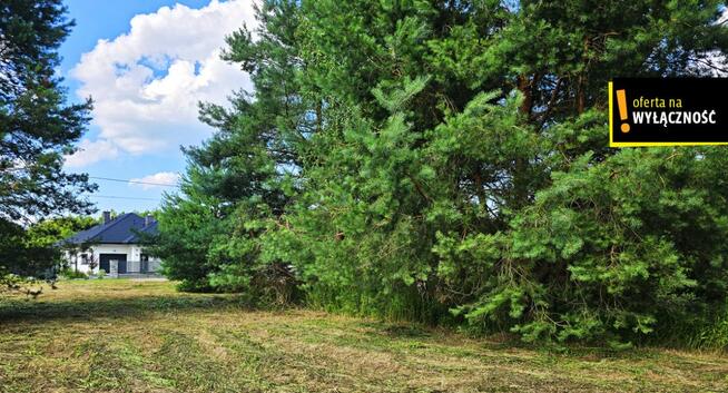 Działka rolna Strzegomek gm. Rytwiany,