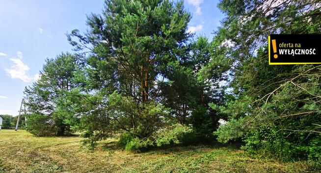 Działka rolna Strzegomek gm. Rytwiany,