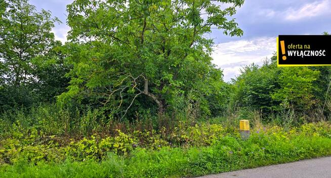 Działka budowlana Zborów gm. Solec-Zdrój,