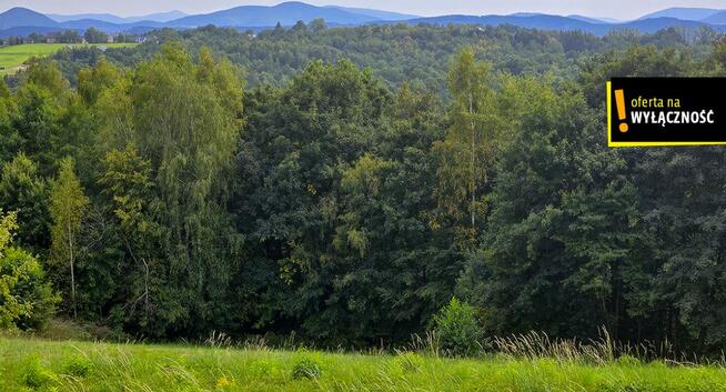 Działka budowlana Czechówka gm. Siepraw,