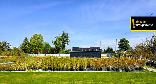 Działka inwestycyjna Celiny gm. Chmielnik,