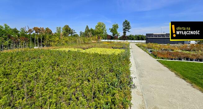 Działka inwestycyjna Celiny gm. Chmielnik,