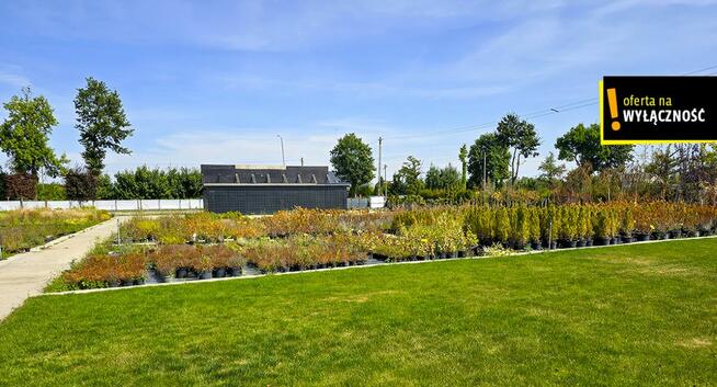 Działka inwestycyjna Celiny gm. Chmielnik,