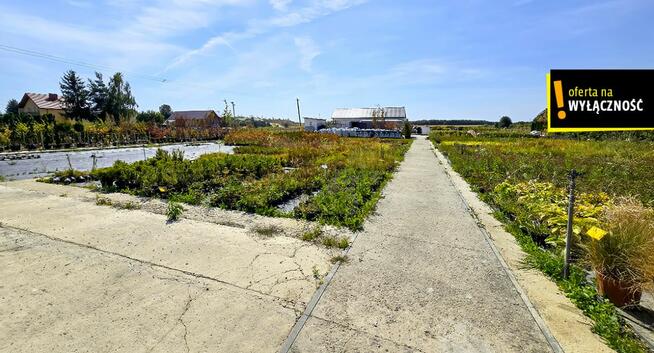 Działka inwestycyjna Celiny gm. Chmielnik,