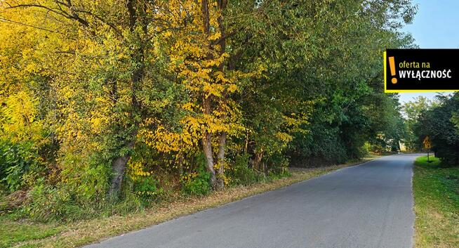 Działka inwestycyjna Niedźwiedź gm. Bogoria,
