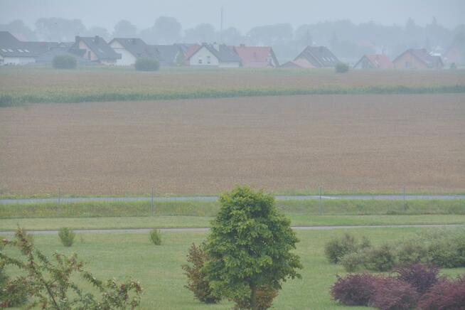 Grunt inwestycy Konarzewo 19498 m2 -bezpośrednio