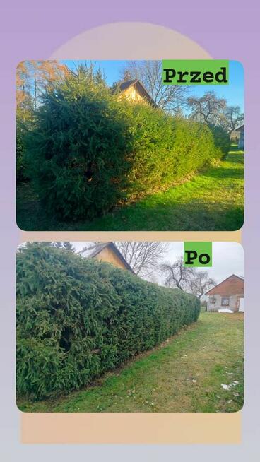 Usługa do działek, ogrodów i prac przydomowych.