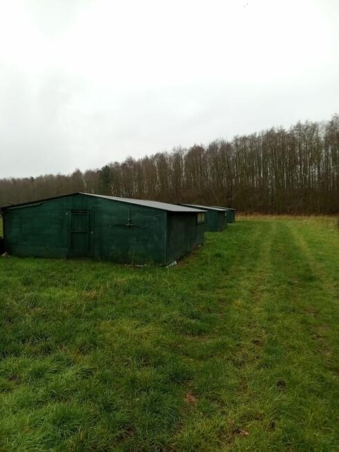 Praca w Anglii ze statusem